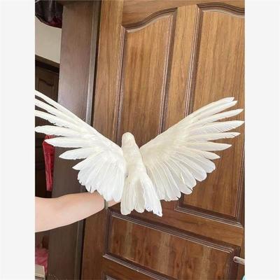 鸽子道具彷真羽毛鸽子白鸽和平鸽家居摆件园林装饰假鸟摄影道具动