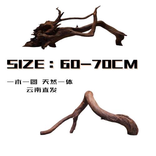 云南紫柚木沉木60-79CM拱桥南美鱼缸造景蜥蜴爬台龟晒台鱼缸木头