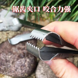 加厚黄辣丁夹子不锈钢防滑钳子鱼铺黄骨鱼昂公刺专用杀鱼神器工具