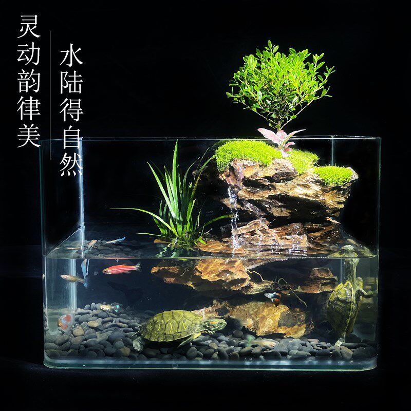 微景观六月飞雪懒人苔藓雨林缸y大号办公室宿舍桌面生态瓶植物礼