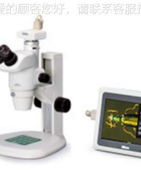 NIYYPKO目N显微 镜SZ74M5双立体显微镜 解剖显微镜