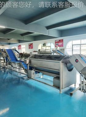 自动果蔬清洗流线涡流清产洗机净菜加工成套水设备全海品清KJN洗