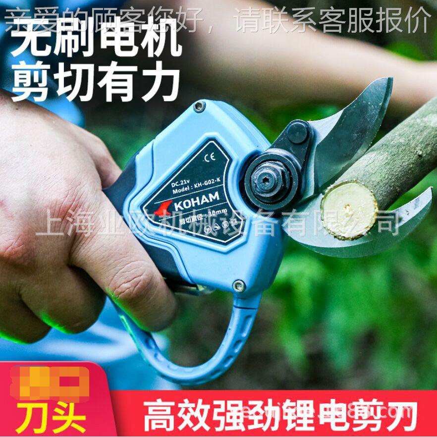 剪充电0式21v-.0果树粗枝剪电 21v-.电动剪刀修剪树枝锂 电修枝剪