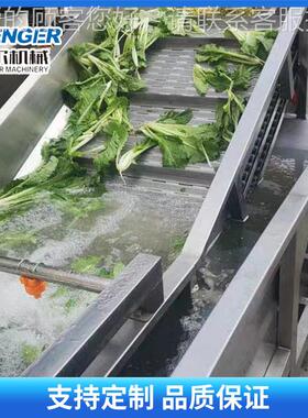 不锈钢全自蔬动果IMY 清清洗线 蓝莓多功能流水线洗机粽叶喷淋清