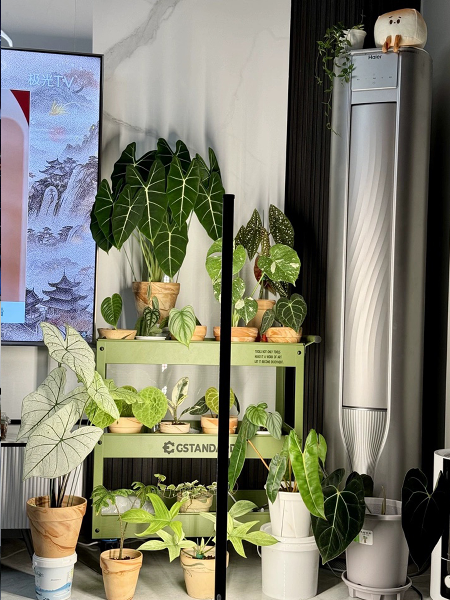 LYCereal莱斯瑞亚落地式植物补光灯侧发光全光谱彷太阳热植生长灯