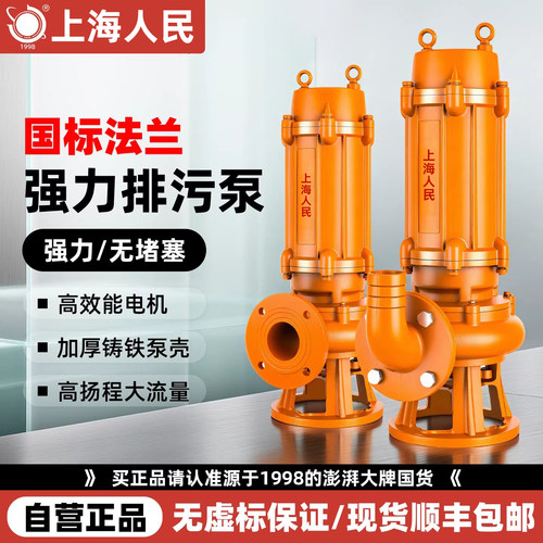 上海人民污水泵380V三相排污泵