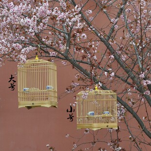 包邮!小号蜡嘴鸟笼竹制圆角方笼绣眼贝子文鸟珍珠玉鸟等小型竹笼