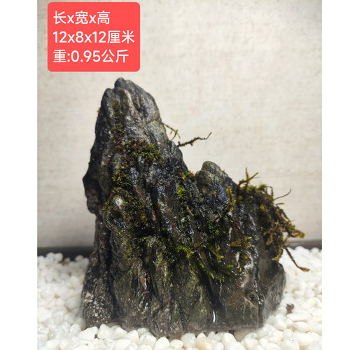 广西龟纹石造景石水旱水陆鱼缸盆景天然抱树绿植花盆庭院客厅摆件