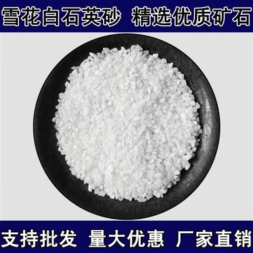 新5斤鱼缸底沙纯白石英砂滤料酒E店垃圾桶烟灰缸造景沙游乐园品