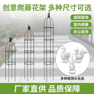 文竹支撑架爬藤架子月季花架y室内花卉植物支撑杆绿萝铁线莲攀