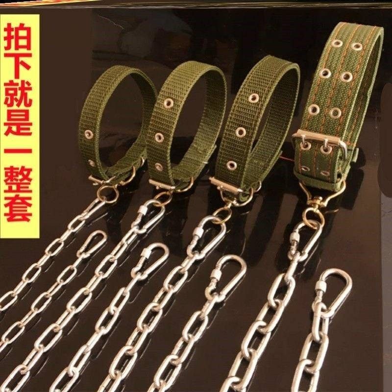 304不锈钢狗炼子大型犬中型犬小型犬铁炼项圈狗绳防咬家用牵引带,宠物/宠物食品及用品,猫牵引绳,淘宝优惠券,粉丝福利购,淘宝优惠卷