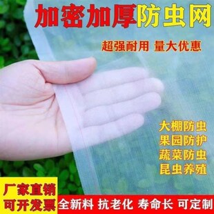 防虫网种菜果树防虫网纱网种菜专用网果树防O乌网草莓防鸟罩防蝇