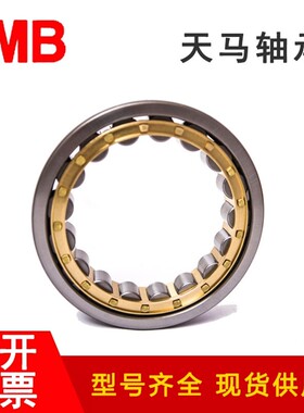 天马TMB轴承N NJ NU RN304 305 306 307 308 309EM 圆柱滚子轴承