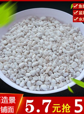 鹅卵石小石头雨花石白色小石子白石子花盆植物盆栽多肉装饰铺面