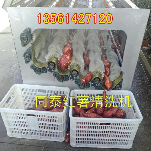 自动洗红薯机器白萝卜清洗机洗地瓜土豆大枣萝卜的清洗机