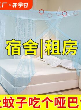 老式蚊帐家用卧室普通防蚊文帐传统农村1.8米大床帐子无支架通用