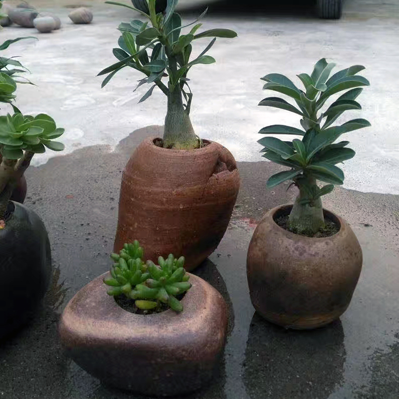 精品纯天然石头盆大号鹅卵石盆多肉植物花盆老桩盆悬崖桩石瓶水培