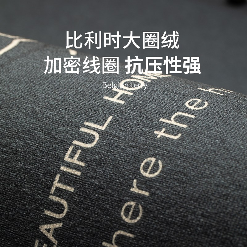 地垫入户门垫进门口玄关2024新款高级感高端可擦免洗耐脏蹭脚垫子