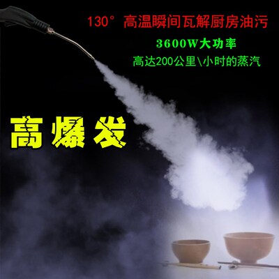高温高压蒸汽清洁机商用家电一体油烟机空调专用清洗机设备多功能