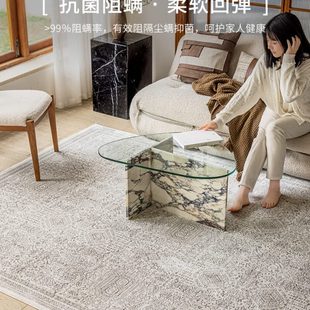 客厅抑菌家用免打理环保卧室 视觉味道土耳其进口现代复古地毯法式