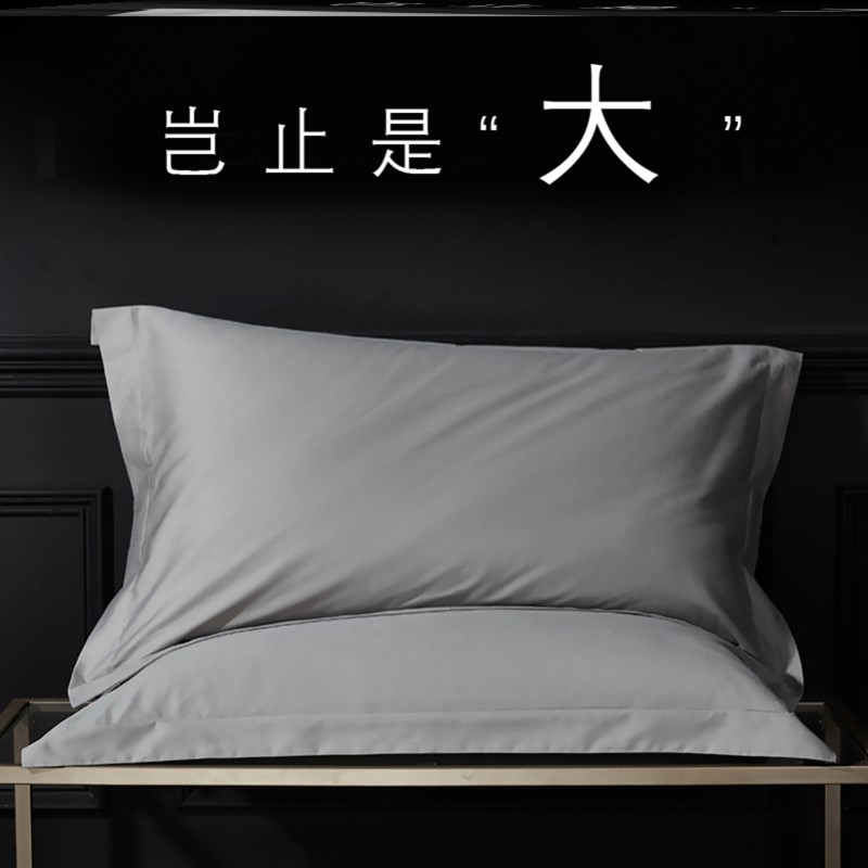 大尺寸50x80酒店用60x90大枕套纯棉100全棉一对装48cmx74cm65x85