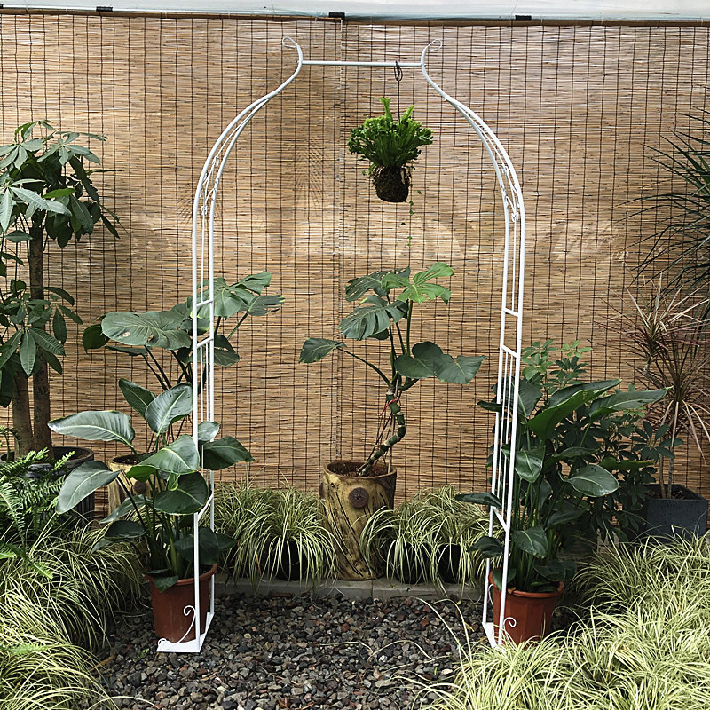 庭院铁艺葡萄架铁线莲攀爬植物月季拱门花架爬藤架子拱形支架户外,鲜花速递/花卉仿真/绿植园艺,花架,淘宝优惠券,粉丝福利购,淘宝优惠卷