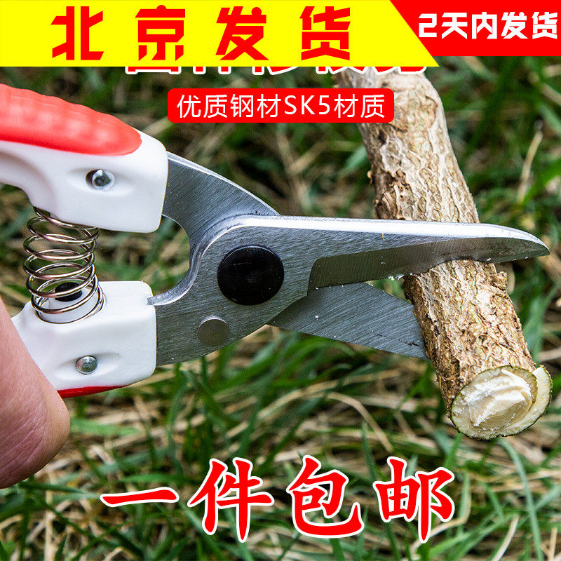 家用园艺修枝剪园林绿化果树嫁接粗枝剪不锈钢修花枝专用剪刀工具图片