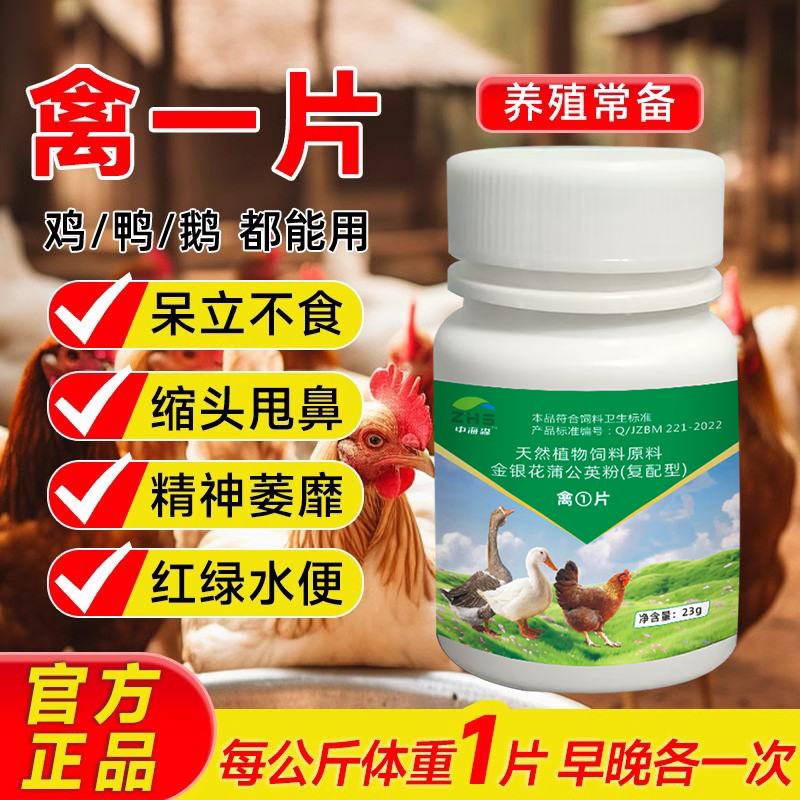 禽一片旗舰店鸡鸭鹅感冒拉稀呆立
