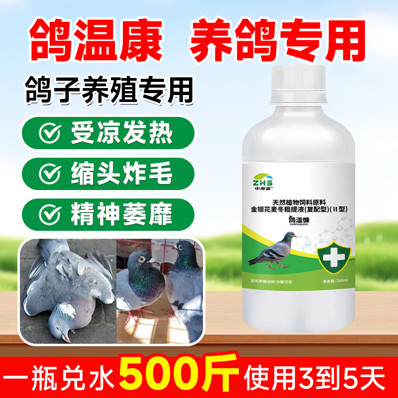 鸽瘟康正品鸽子感冒发烧缩头炸毛