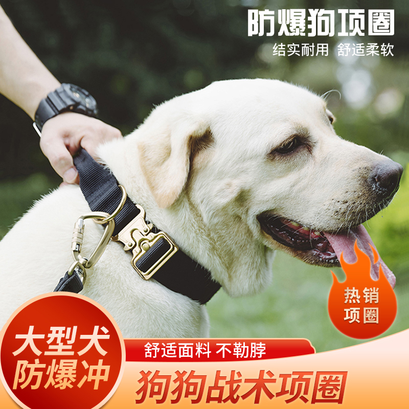 狗项圈防爆冲中型大型犬颈圈