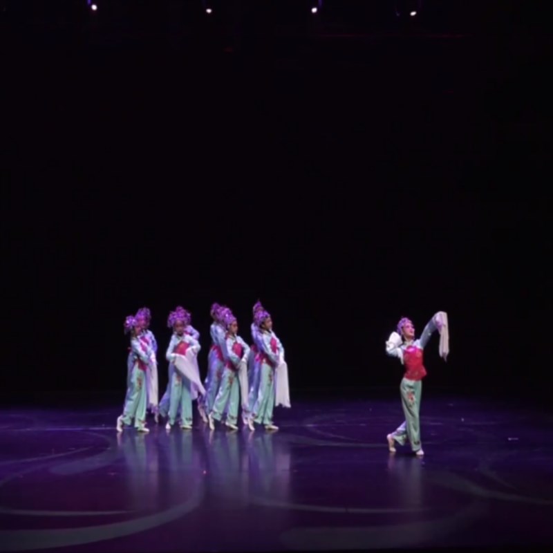儿童戏曲少年梨园梦舞蹈演出服小俏花旦水袖京剧小戏骨戏服表演服