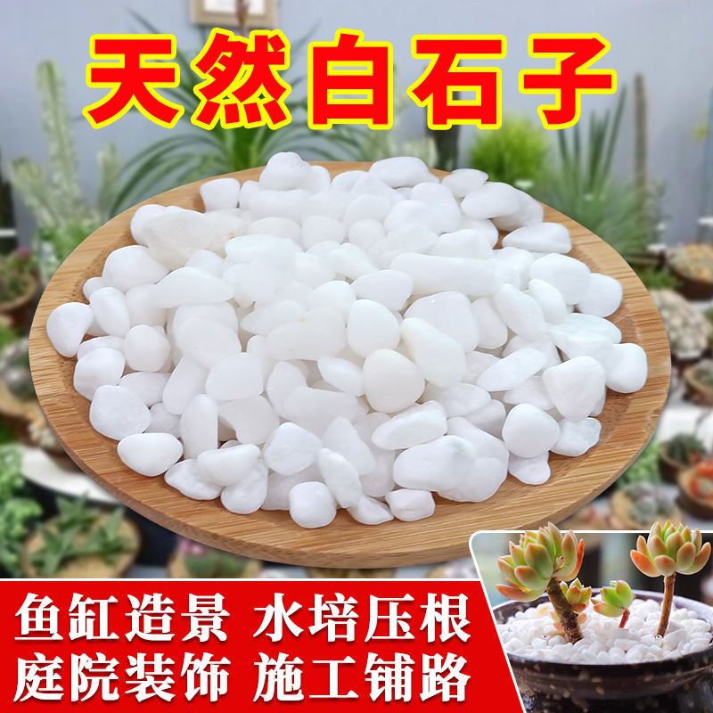 天然白色雨花石鹅卵石子铺面造景