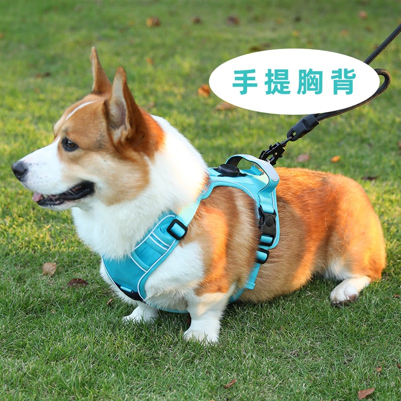 柯基狗狗牵引绳背心式胸背带中大型犬柴犬防爆冲宠物遛狗绳子狗链