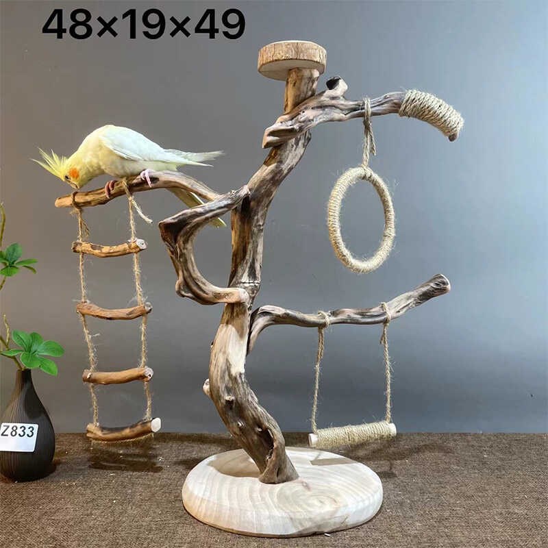 (一物一拍)原木鹦鹉小鸟站架手串收纳装饰小鸟站杆树枝摆件文玩