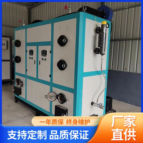 生物质0.e6T蒸汽发生器加工泡沫蒸汽炉做鲜食玉米杀菌全自动蒸汽