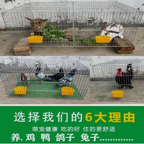 镀锌加高鸡笼子家用大号养殖笼小鸡笼子兔笼子特大号养鸽笼子用具