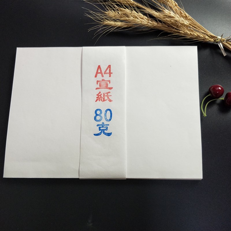 A3 A4打印宣纸生宣加厚书画版画山水画学生写生素描练习