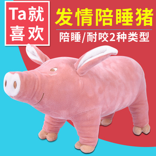 狗狗玩具公狗法斗泄火耐咬大型犬解闷神器伴侣宠物用品陪睡猪