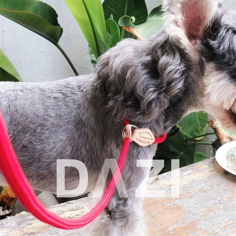 宠物脖链中小型狗狗调节型轻便牵绳红色蓝色黑色引绳猫牵引绳三色,宠物/宠物食品及用品,猫宠物服装/雨衣（新）,淘宝优惠券,粉丝福利购,淘宝优惠卷