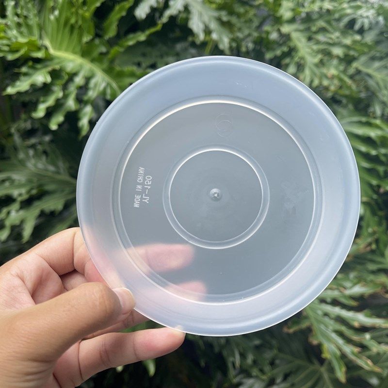 花盆托盘塑料加厚圆形磨砂半透明花盘托盘垫底接水盘家用花盆底座,鲜花速递/花卉仿真/绿植园艺,花盆,淘宝优惠券,粉丝福利购,淘宝优惠卷