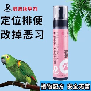 鹦鹉定点排便诱导剂专用不乱拉乱尿鸟类站架垃圾桶上厕所诱便液