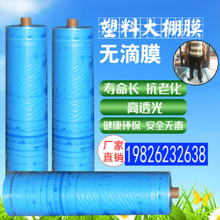 加厚无滴膜大棚专用膜塑料薄膜纸家用葡萄养殖农用防尘布蓝膜整卷