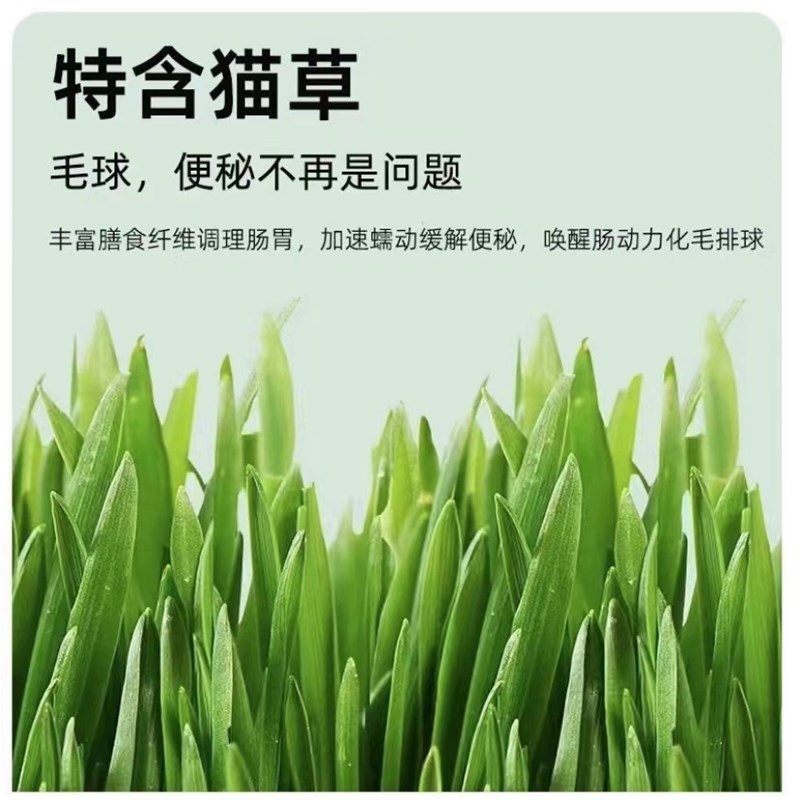 猫草棒猫咪零食磨牙棒冻干即食去毛球鸡肉冻干增肥发腮不掉毛