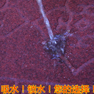 进门地垫入户门垫家用门厅客厅走廊大门口吸水脚垫玄关防滑可裁剪