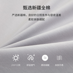 全棉乳胶床垫套薄垫棕垫六面全包拉链被罩学生宿舍单人纯棉褥子套