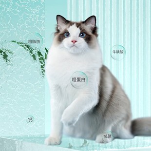 力狼猫粮成猫粮幼猫专用粮1 12个月奶猫营养增肥高蛋白全价全阶段