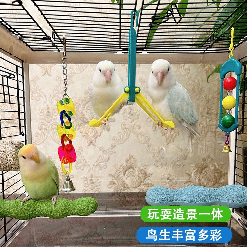 哈根双面镜秋千鹦鹉玩具趣味益智鹦鹉鸟牡丹虎皮玩具日常互动站架,宠物/宠物食品及用品,鸟玩具,淘宝优惠券,粉丝福利购,淘宝优惠卷