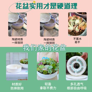 仿陶瓷白家用大口径多肉花盆带底托肉肉高颜值花盆轻奢组合塑料盆