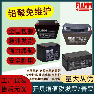FIAMM非凡蓄电池FG10721 FG11201 FG20341 FGH20502 12FGH23 消防