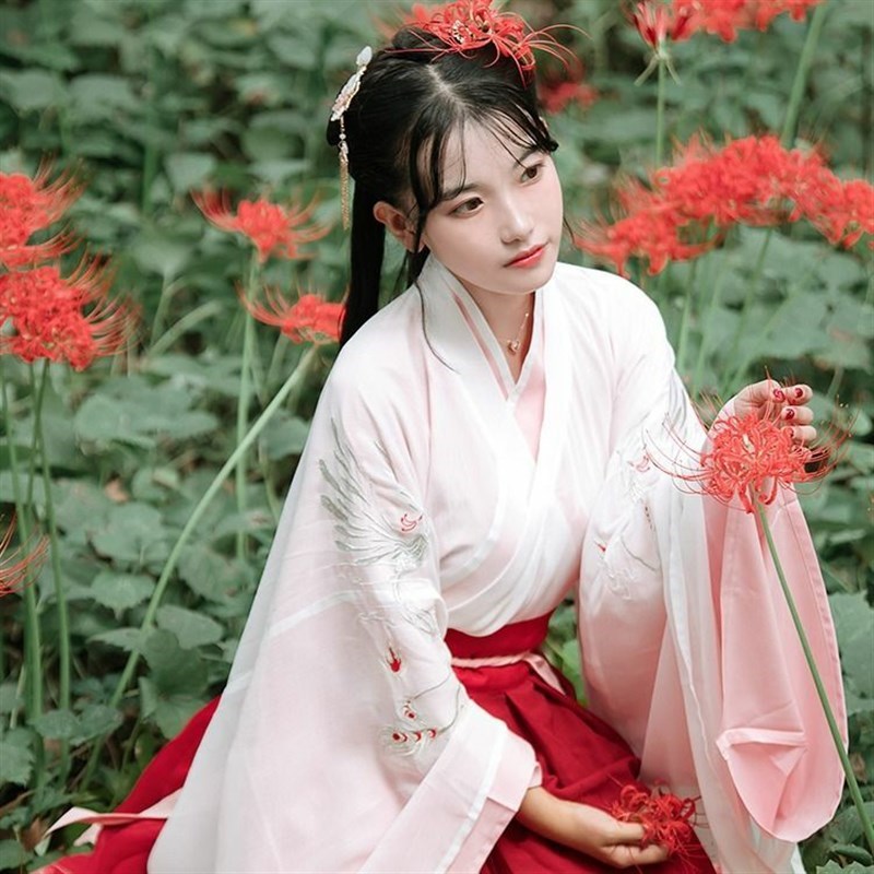 魏晋风汉服女梨花渡2023日常春夏M秋装红色W交领齐腰襦裙
